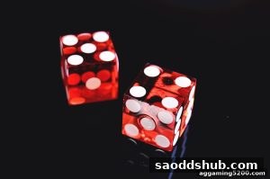 AG真人 saoddshub